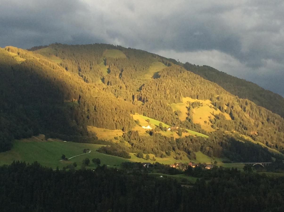 Tieschnhof Otel Grobming Dış mekan fotoğraf